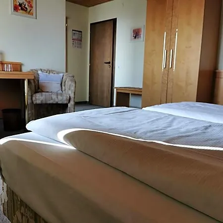 Hotel Engel 3*