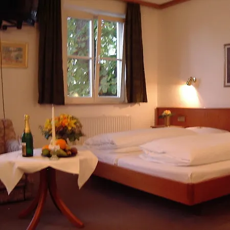 Hotel Engel 3*