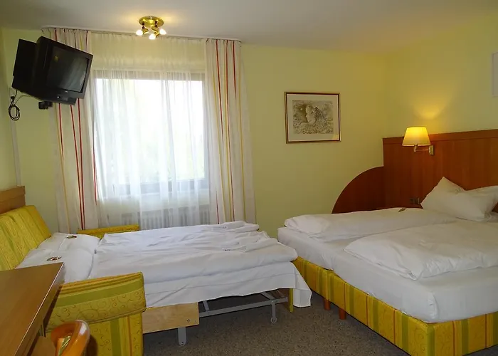 Ξενοδοχείο Engel Ουλμ